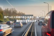 国产250以上排量的跑车有哪些（国产250以上排量的跑车有哪些品牌）