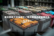 重庆嘉陵大排量摩托（重庆嘉陵大排量摩托车专卖店）