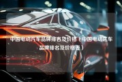 中国电动汽车品牌排名及价格（中国电动汽车品牌排名及价格表）