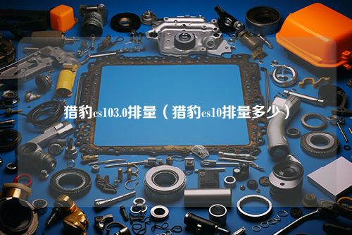 猎豹cs103.0排量（猎豹cs10排量多少）