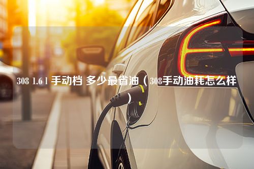 308 1.6 l 手动档 多少最省油（308手动油耗怎么样）