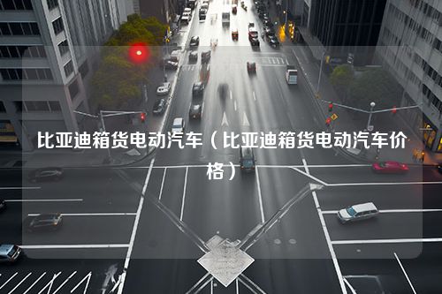 比亚迪箱货电动汽车（比亚迪箱货电动汽车价格）