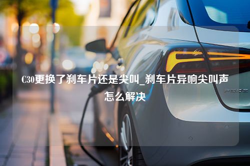 C30更换了刹车片还是尖叫_刹车片异响尖叫声怎么解决