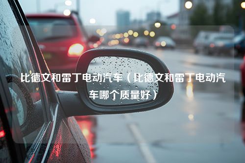 比德文和雷丁电动汽车（比德文和雷丁电动汽车哪个质量好）