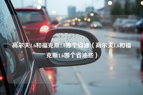 高尔夫1.6和福克斯1.6哪个省油（高尔夫1.6和福克斯1.6哪个省油些）