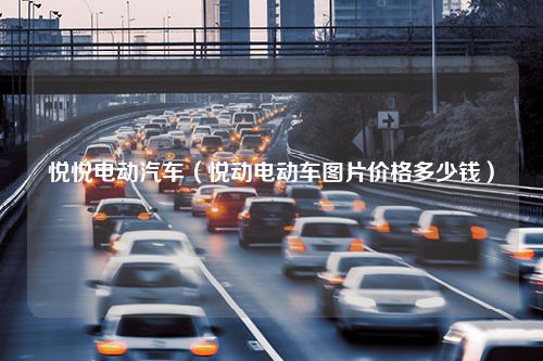 悦悦电动汽车（悦动电动车图片价格多少钱）