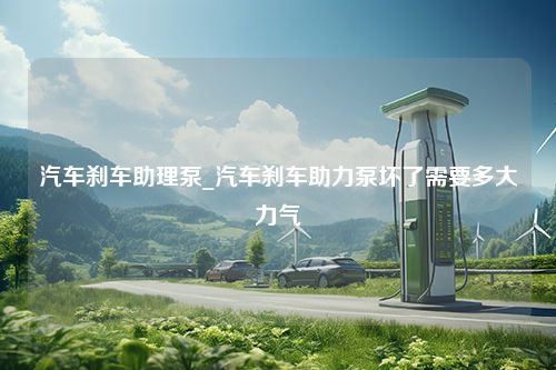 汽车刹车助理泵_汽车刹车助力泵坏了需要多大力气