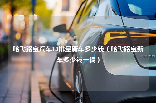 哈飞路宝汽车1.3排量新车多少钱（哈飞路宝新车多少钱一辆）