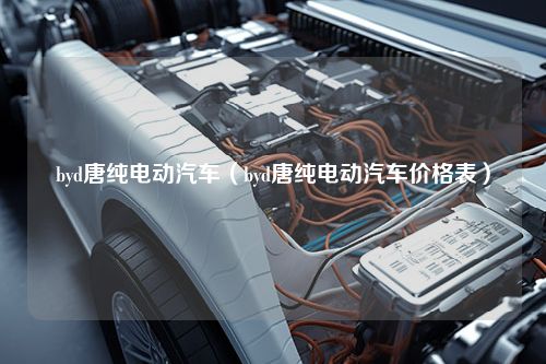 byd唐纯电动汽车（byd唐纯电动汽车价格表）