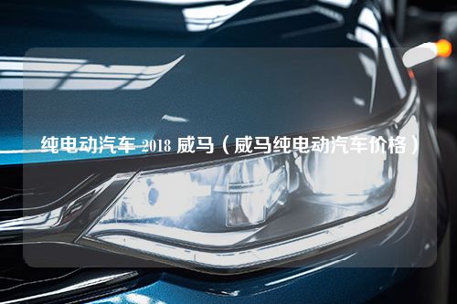 纯电动汽车 2018 威马（威马纯电动汽车价格）